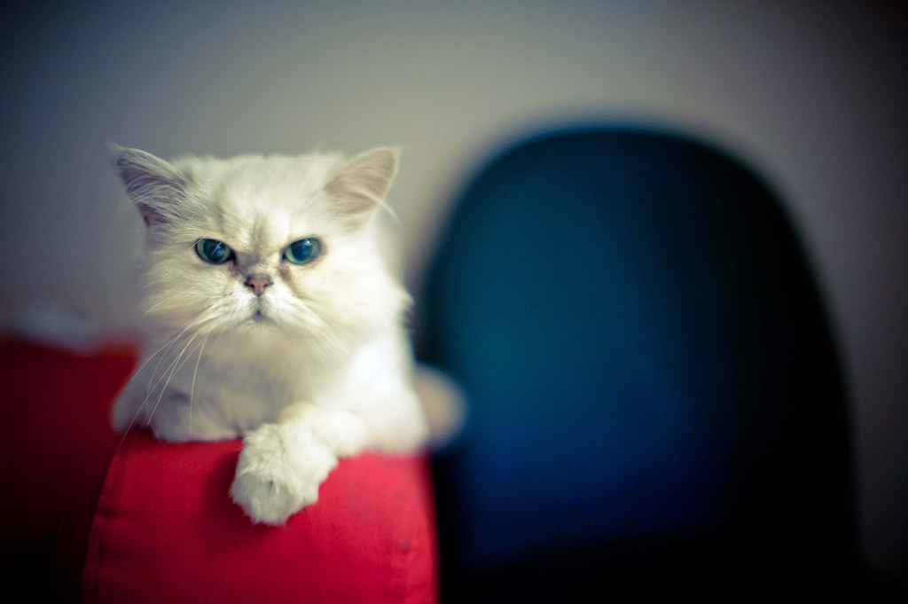 राजनीतिक परिदृश्य में बदलाव: उत्तर प्रदेश की राजनीतिक हलचल