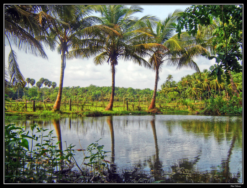 Kerala mein loktantra ka naya aayaam
